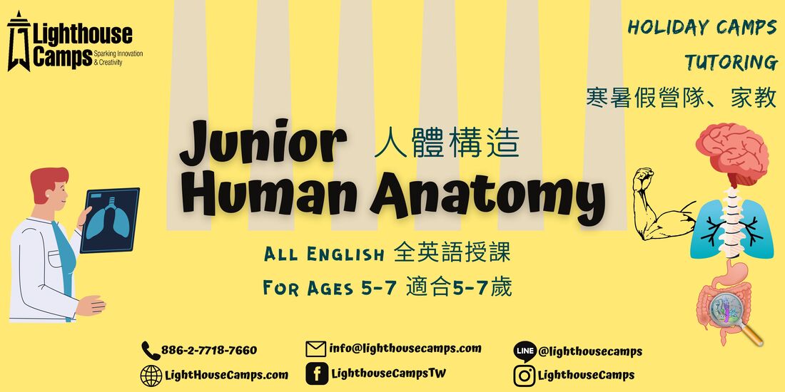 lighthouse camps junior human anatomy for ages 5-7