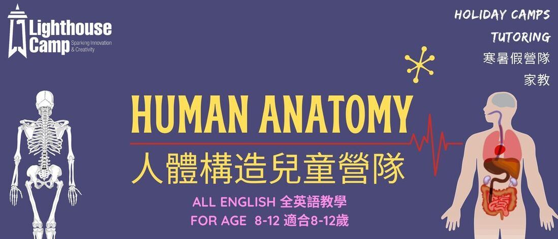 lighthouse camps human anatomy camp for ages 8-12 science camps for kids